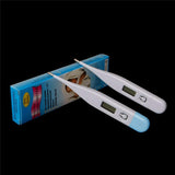 Oral Digital Thermometer for Fever